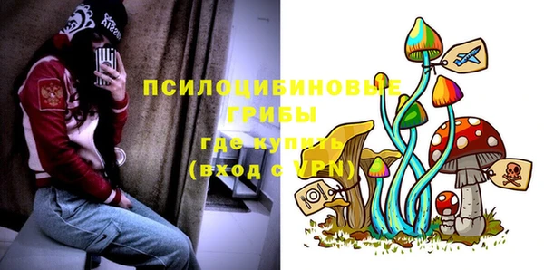 прущий лед Козельск