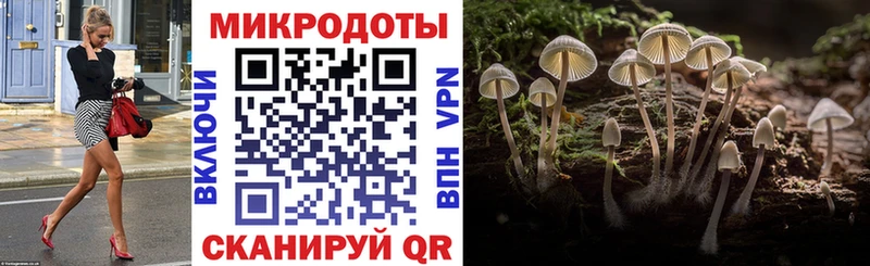 Купить  Болгар  Псилоцибиновые грибы Psilocybe 